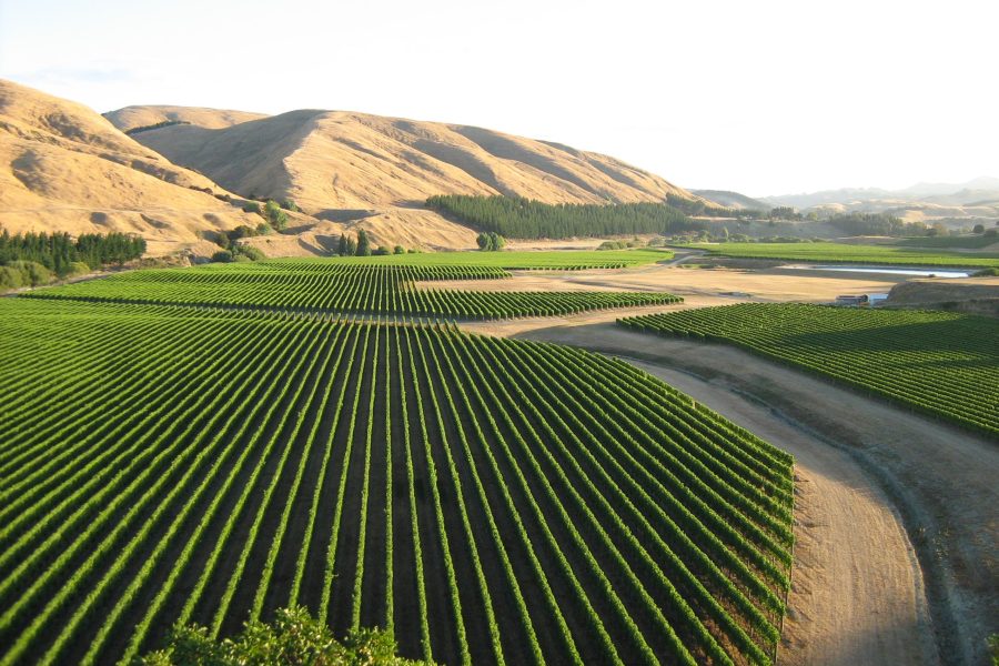 Martinborough Nova Zelândia