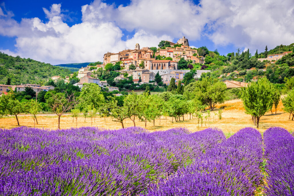 Provence Francês