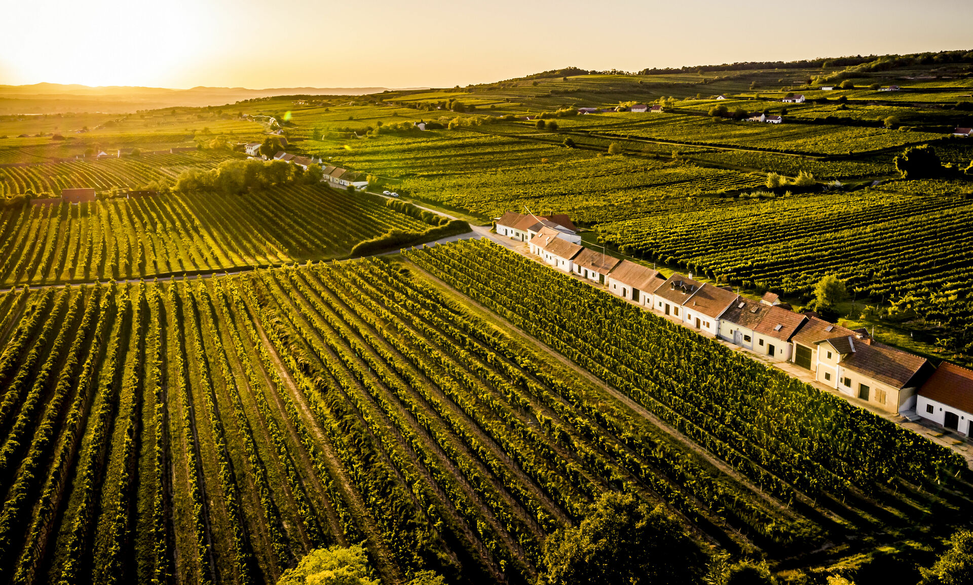 Baumgarten am Wagram - Áustria