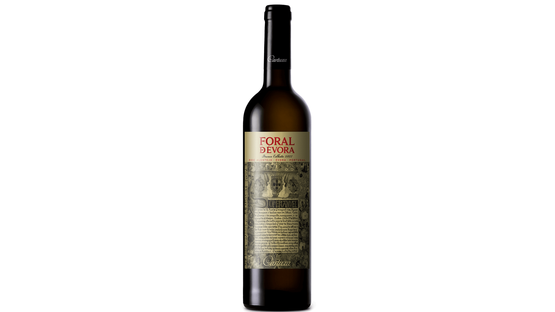 Vinho
