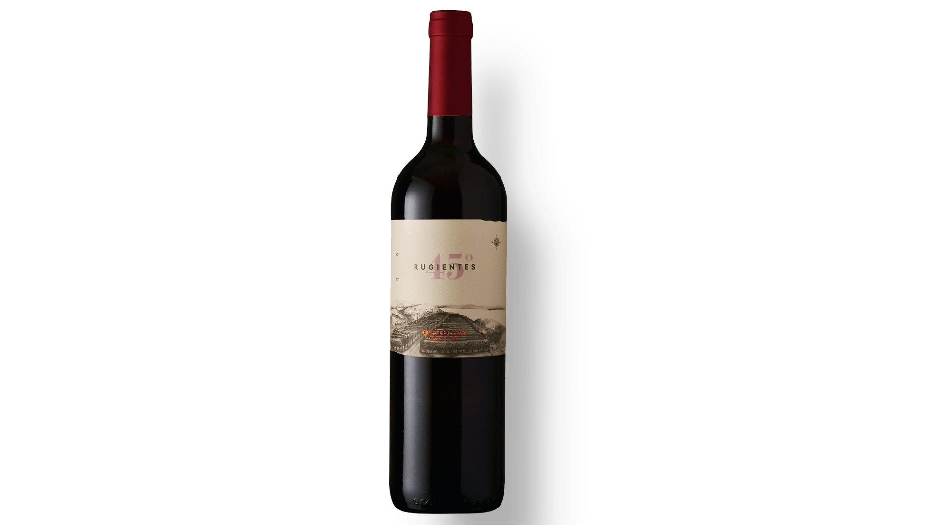 Vinho